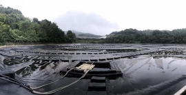 大宝娱乐-LG游戏|PT游戏|CQ9游戏